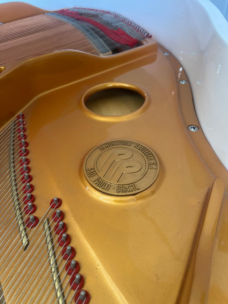 Vista 6 do piano Fritz Dobbert Cauda
