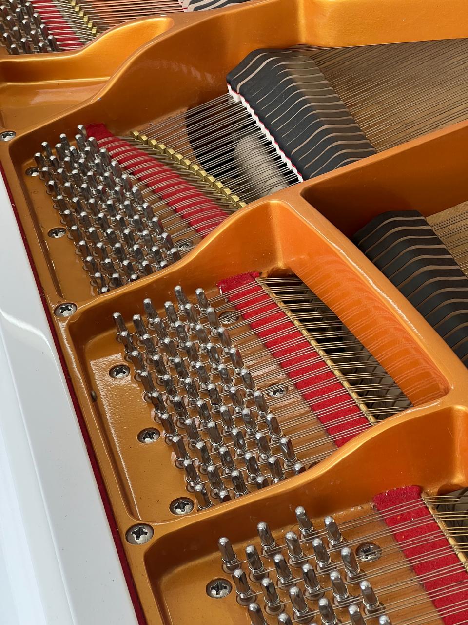Vista 7 do piano Fritz Dobbert Cauda