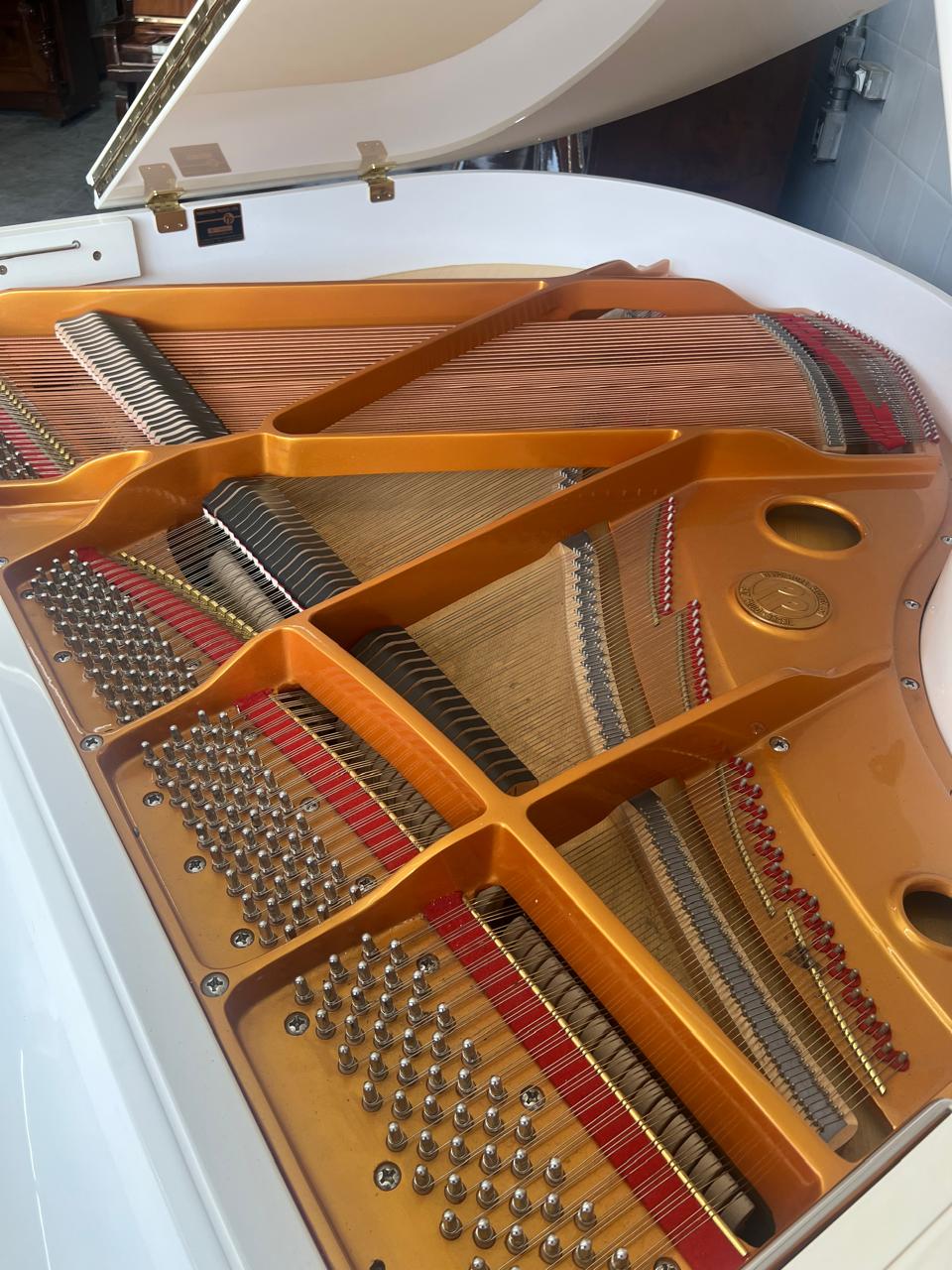 Vista 10 do piano Fritz Dobbert Cauda