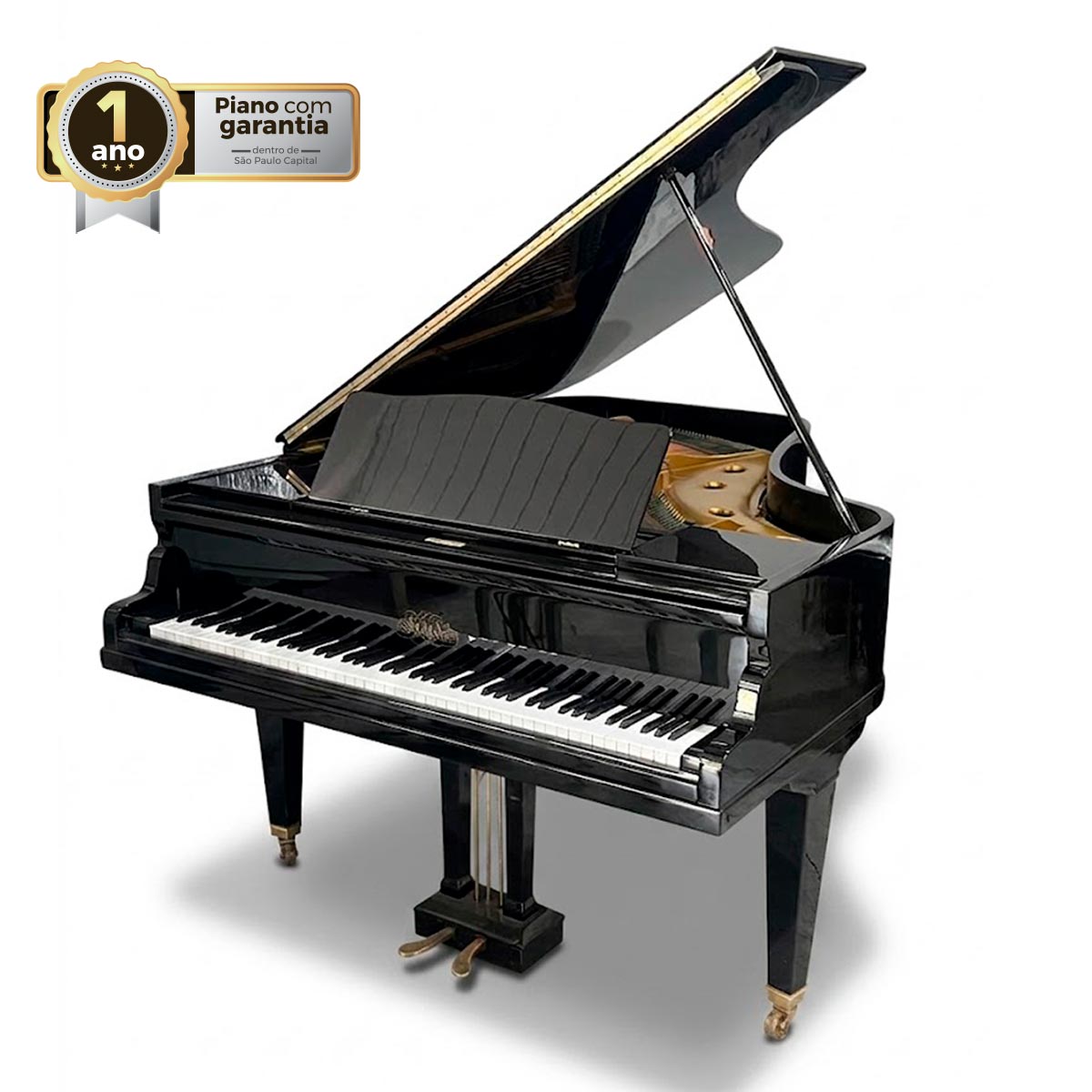 Piano de Cauda  Erard